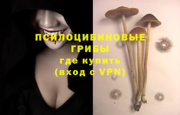 крисы Нефтегорск